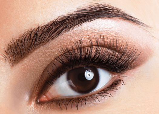 Eyebrow Transplantation